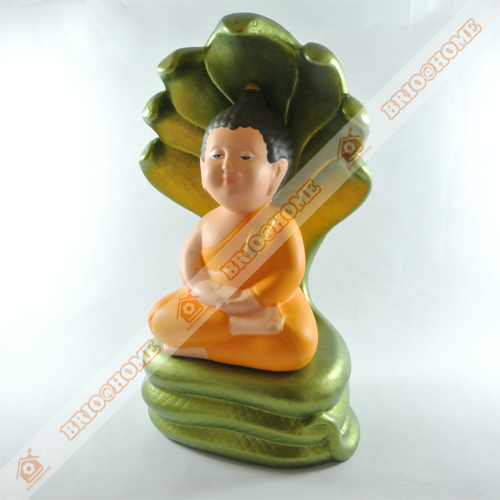 BuddhaSAT-01_500